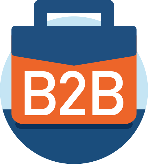 Custom B2B Software Development
